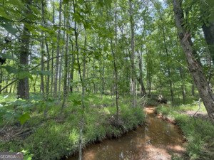 0 Camak School Road Norwood GA 30821
