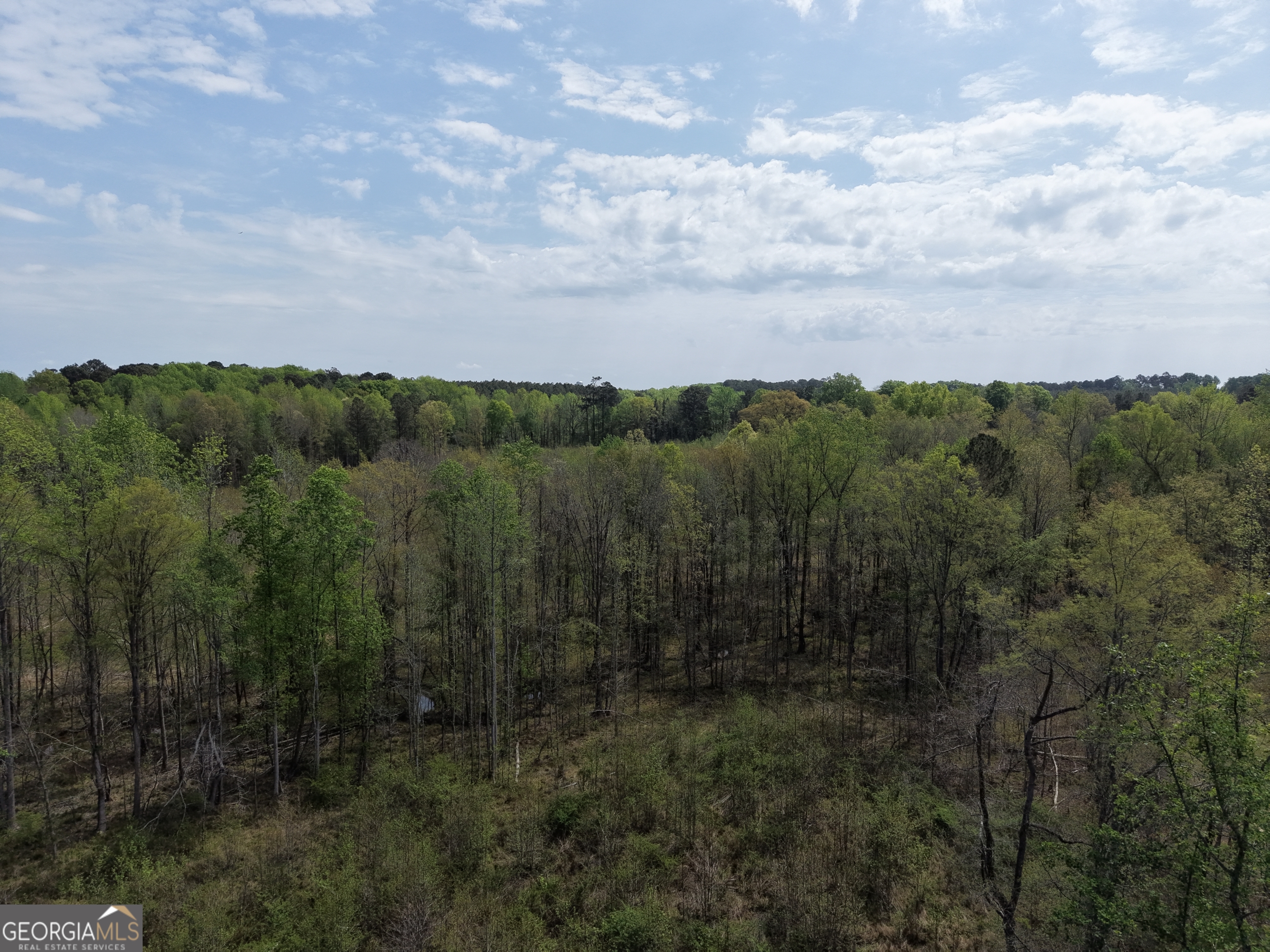 0 Camak School Road Norwood GA 30821