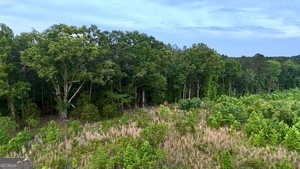 0 Camak School Road Norwood GA 30821