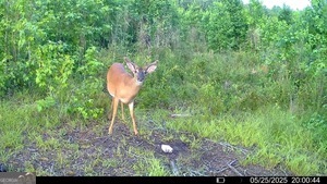 0 Camak School Road Norwood GA 30821
