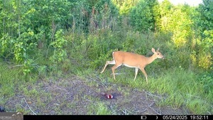 0 Camak School Road Norwood GA 30821