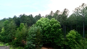 0 Camak School Road Norwood GA 30821