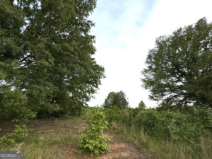 0 Camak School Road Norwood GA 30821