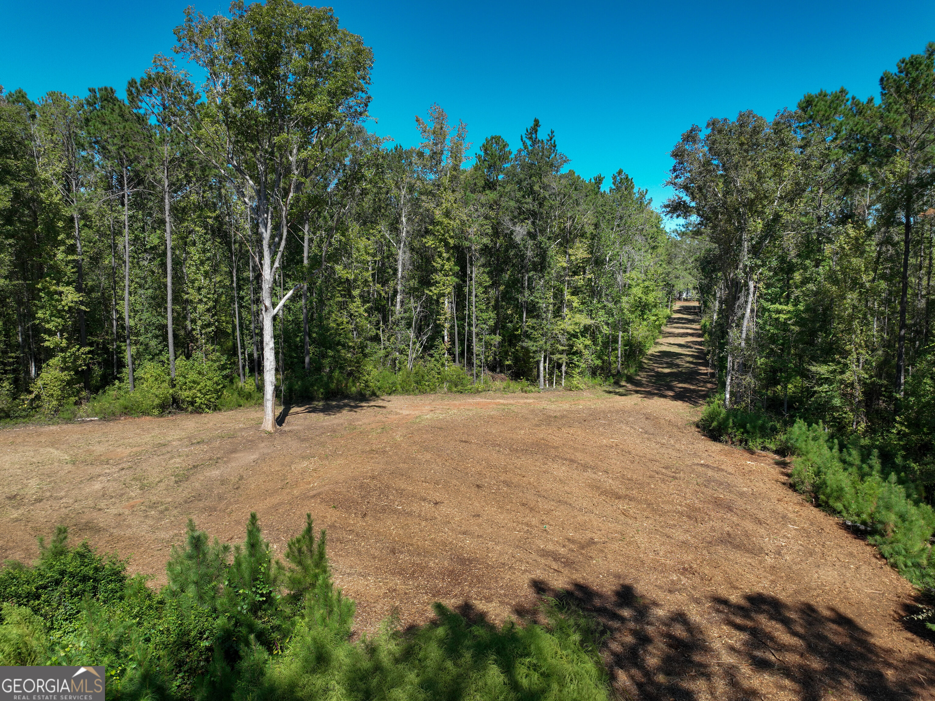 0 Buck Run Road Talbotton GA 31827