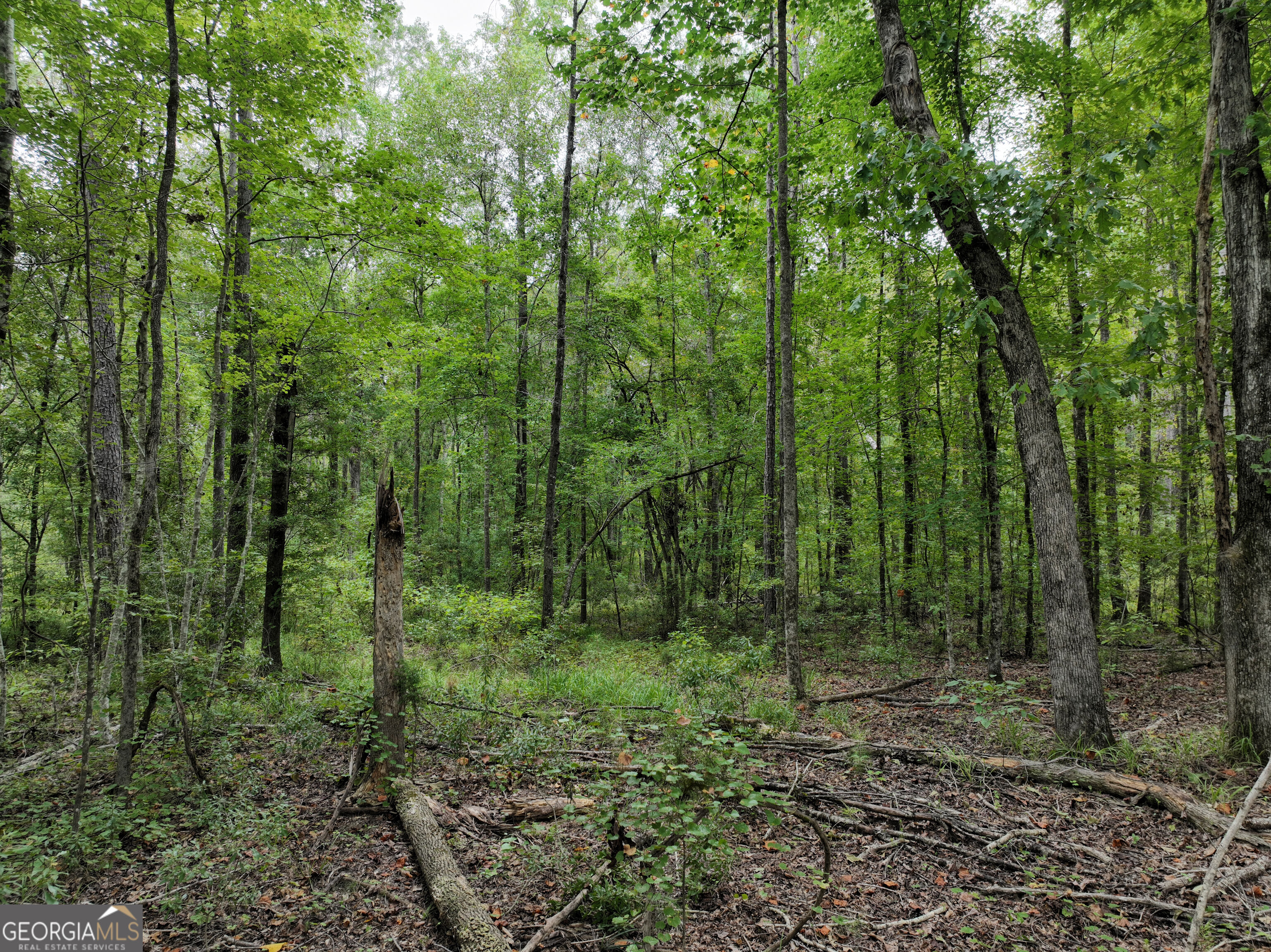 0 Buck Run Road Talbotton GA 31827
