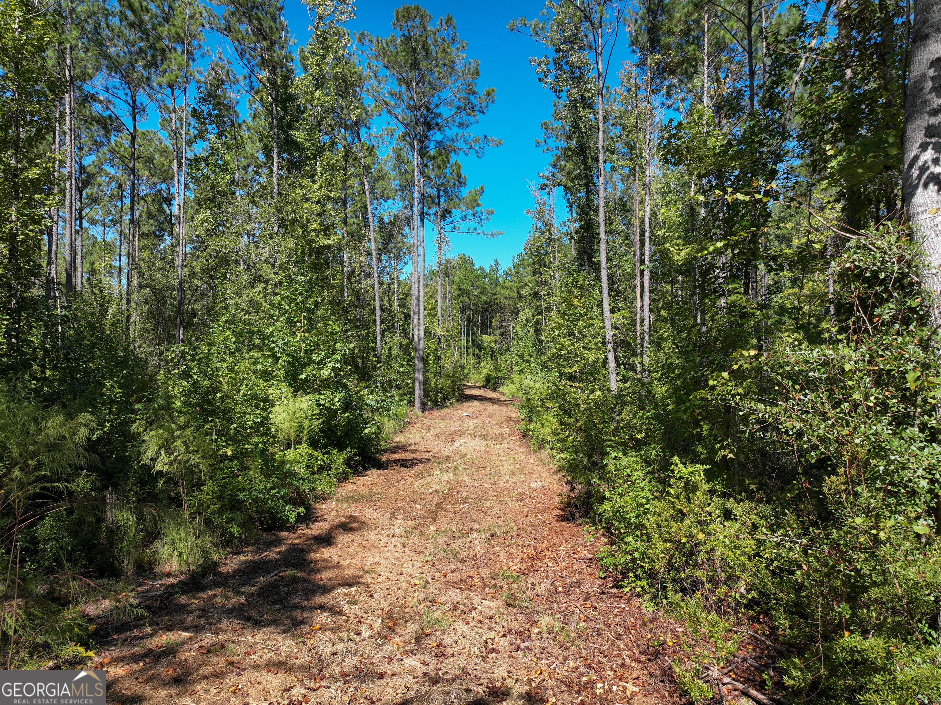 0 Buck Run Road Talbotton GA 31827