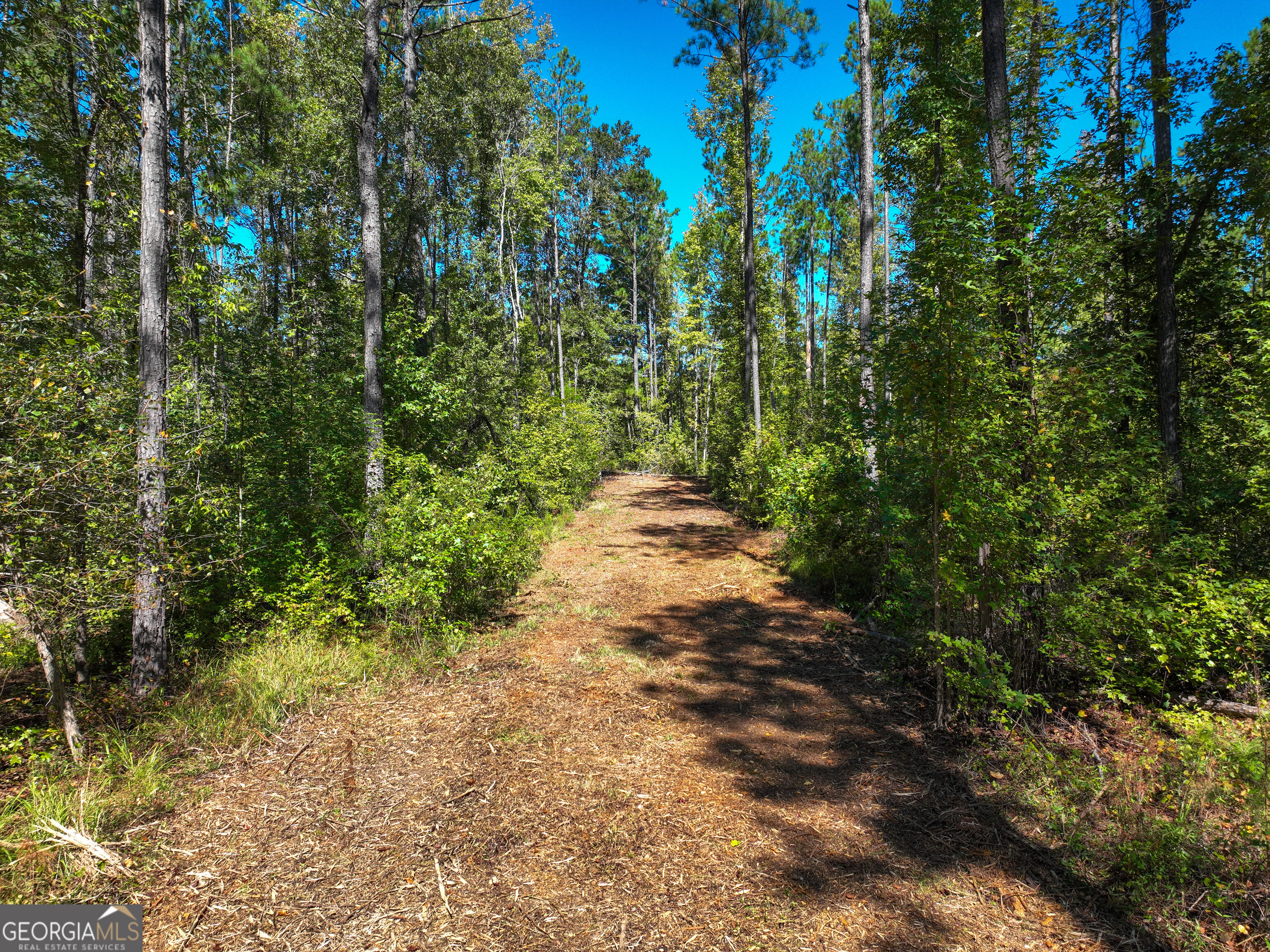 0 Buck Run Road Talbotton GA 31827