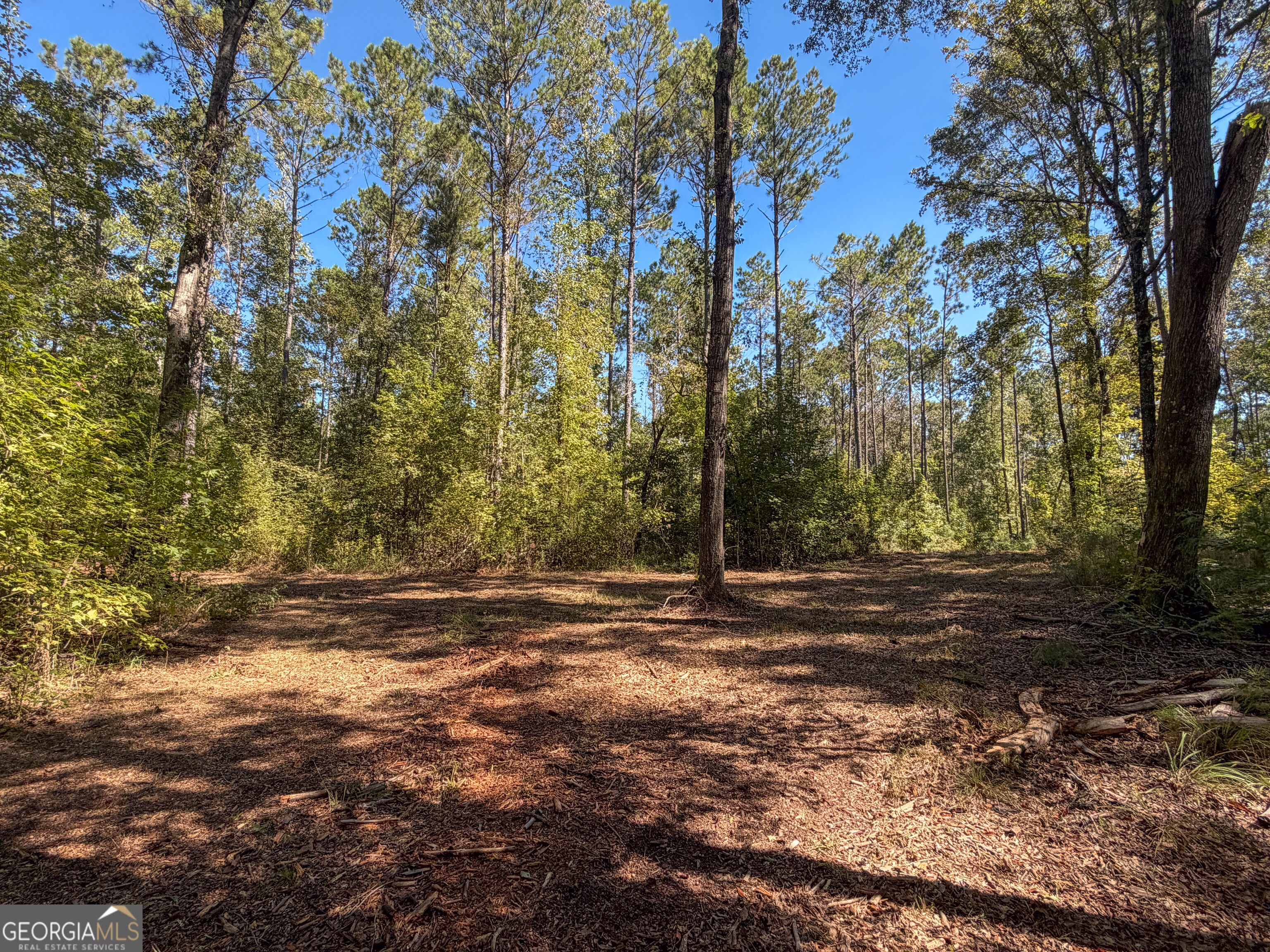0 Buck Run Road Talbotton GA 31827