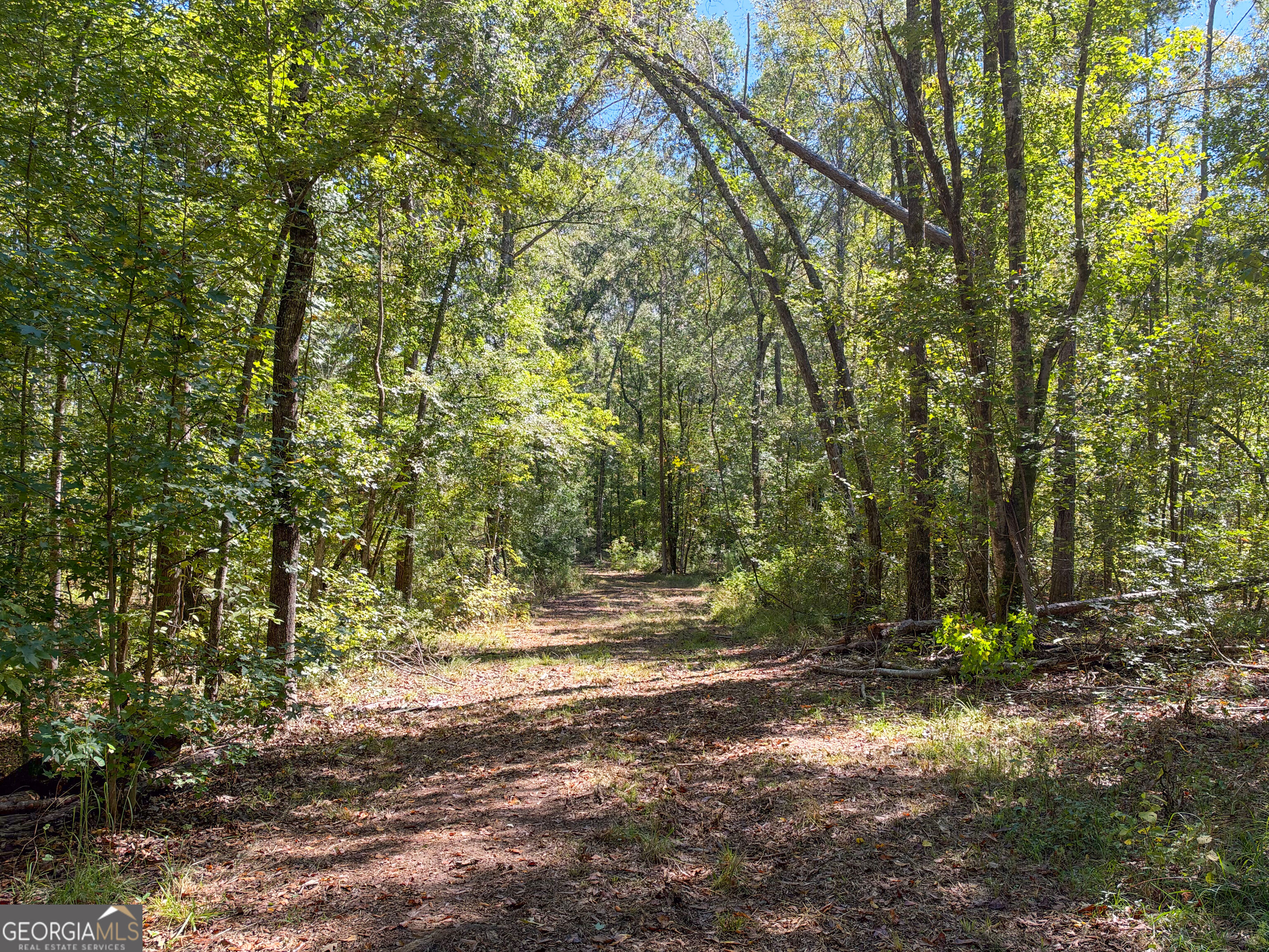0 Buck Run Road Talbotton GA 31827