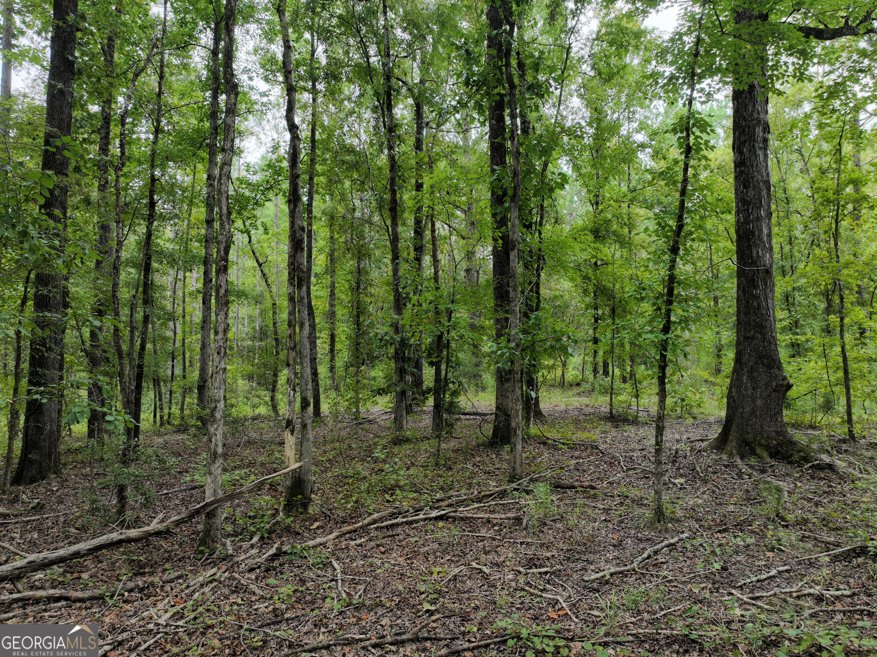 0 Buck Run Road Talbotton GA 31827