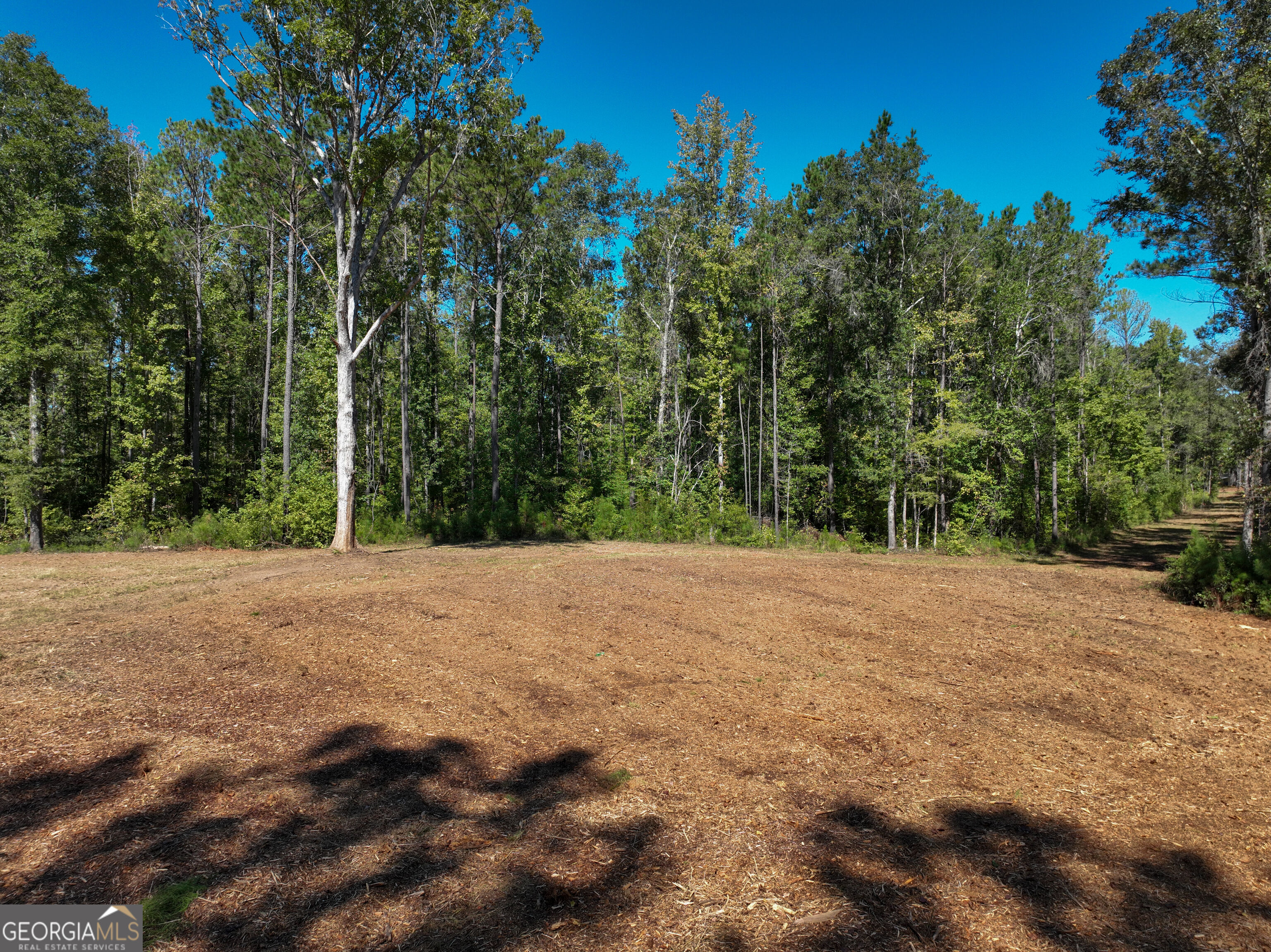 0 Buck Run Road Talbotton GA 31827