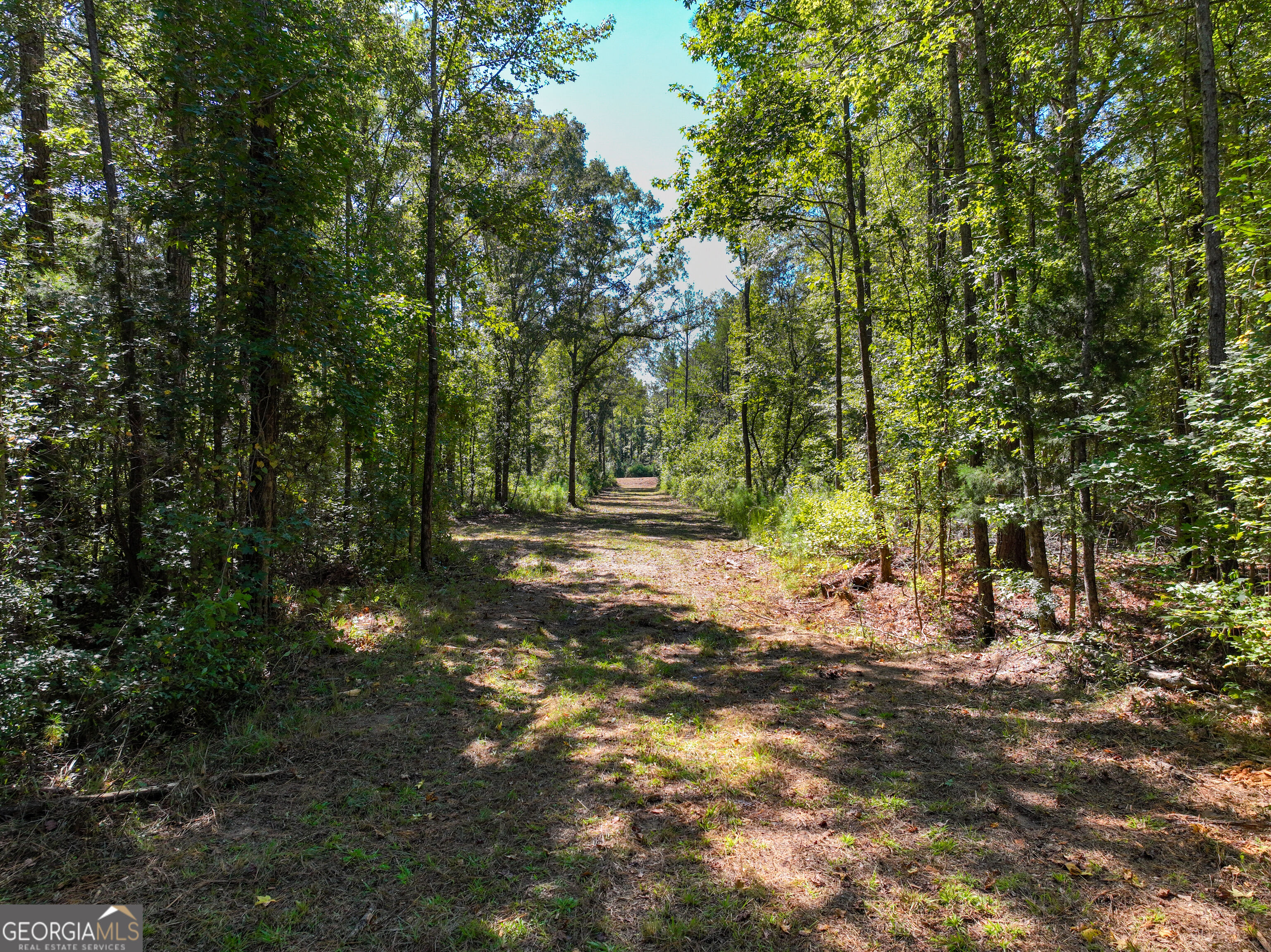 0 Buck Run Road Talbotton GA 31827