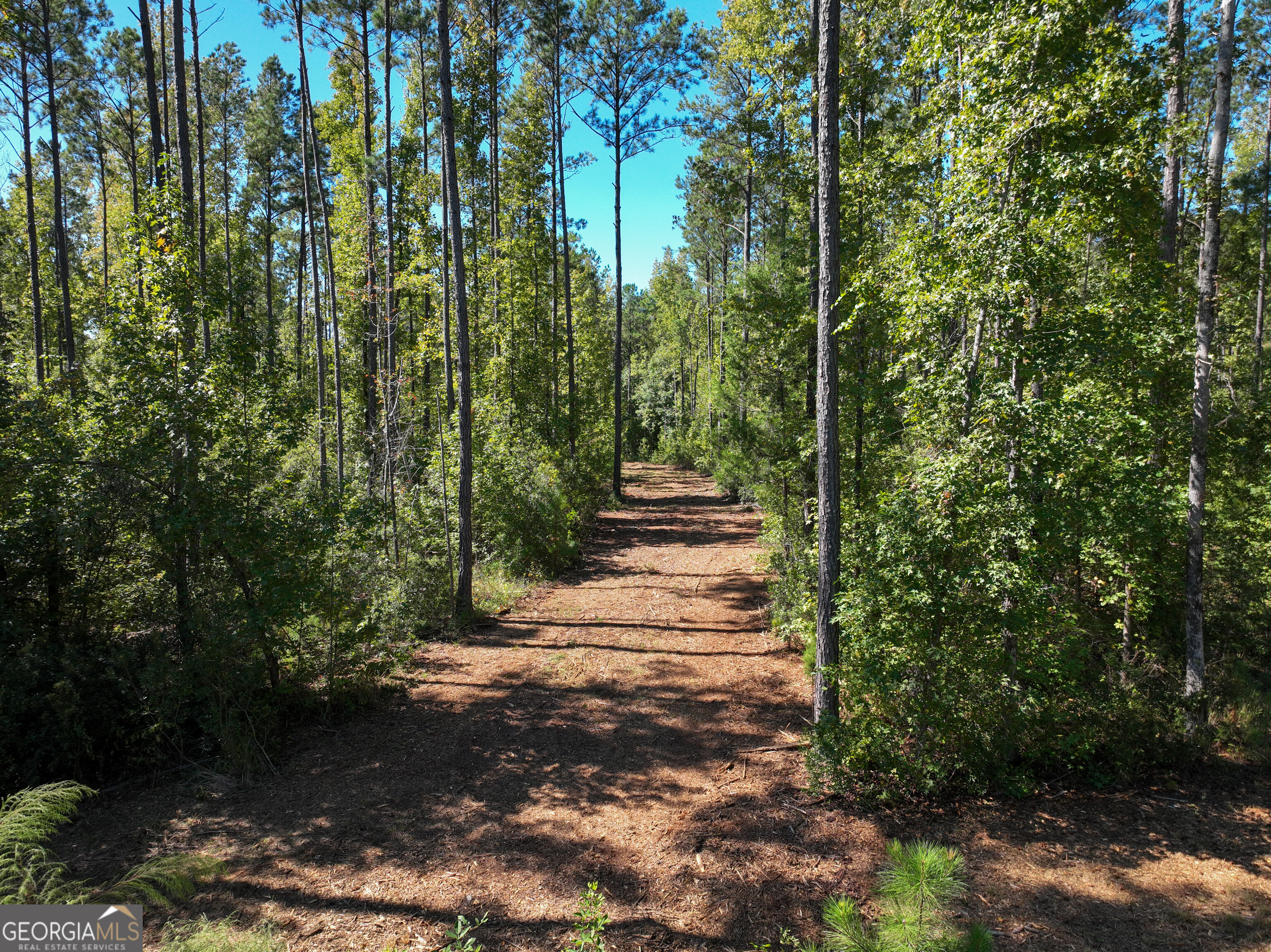 0 Buck Run Road Talbotton GA 31827