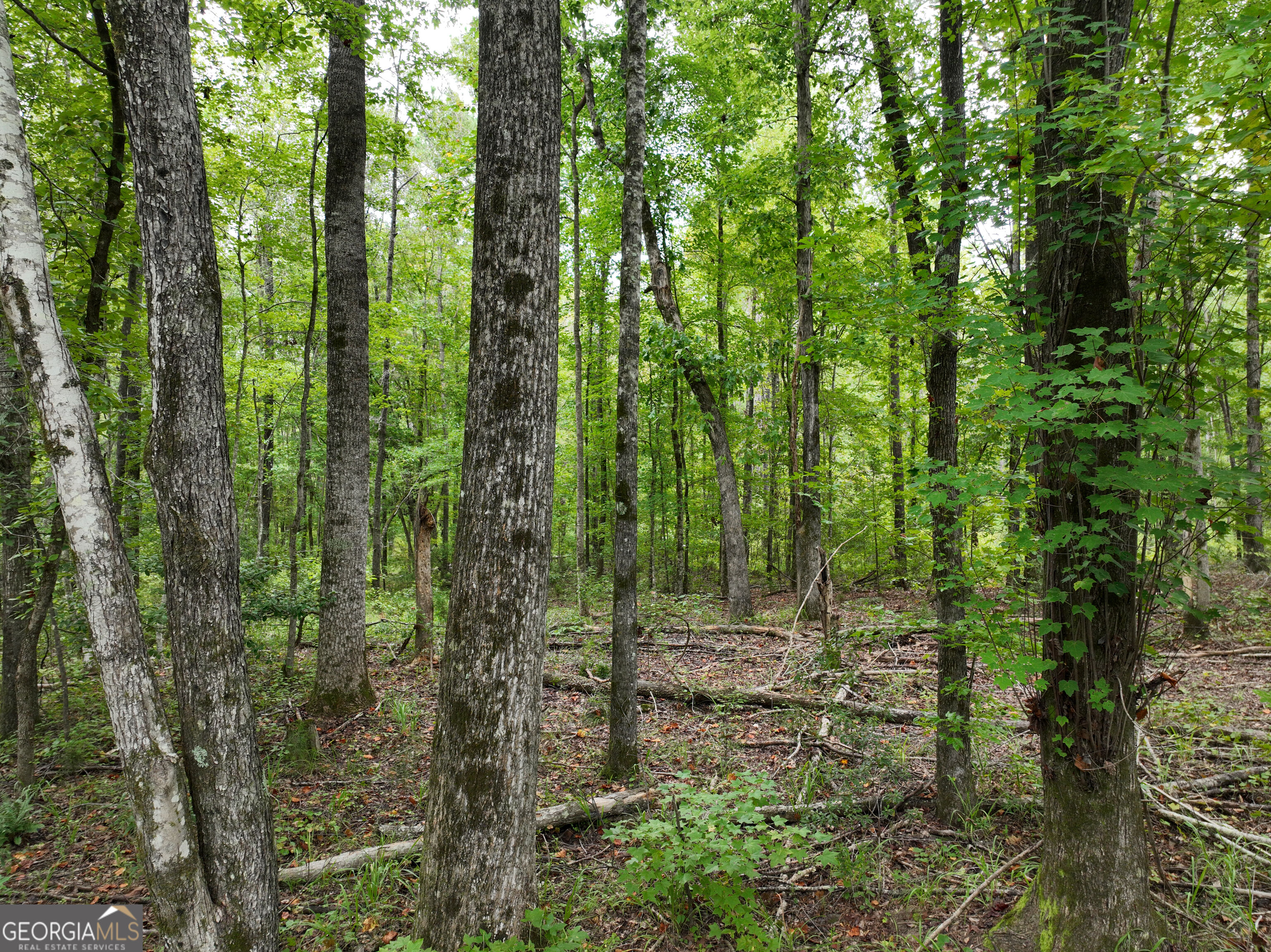 0 Buck Run Road Talbotton GA 31827