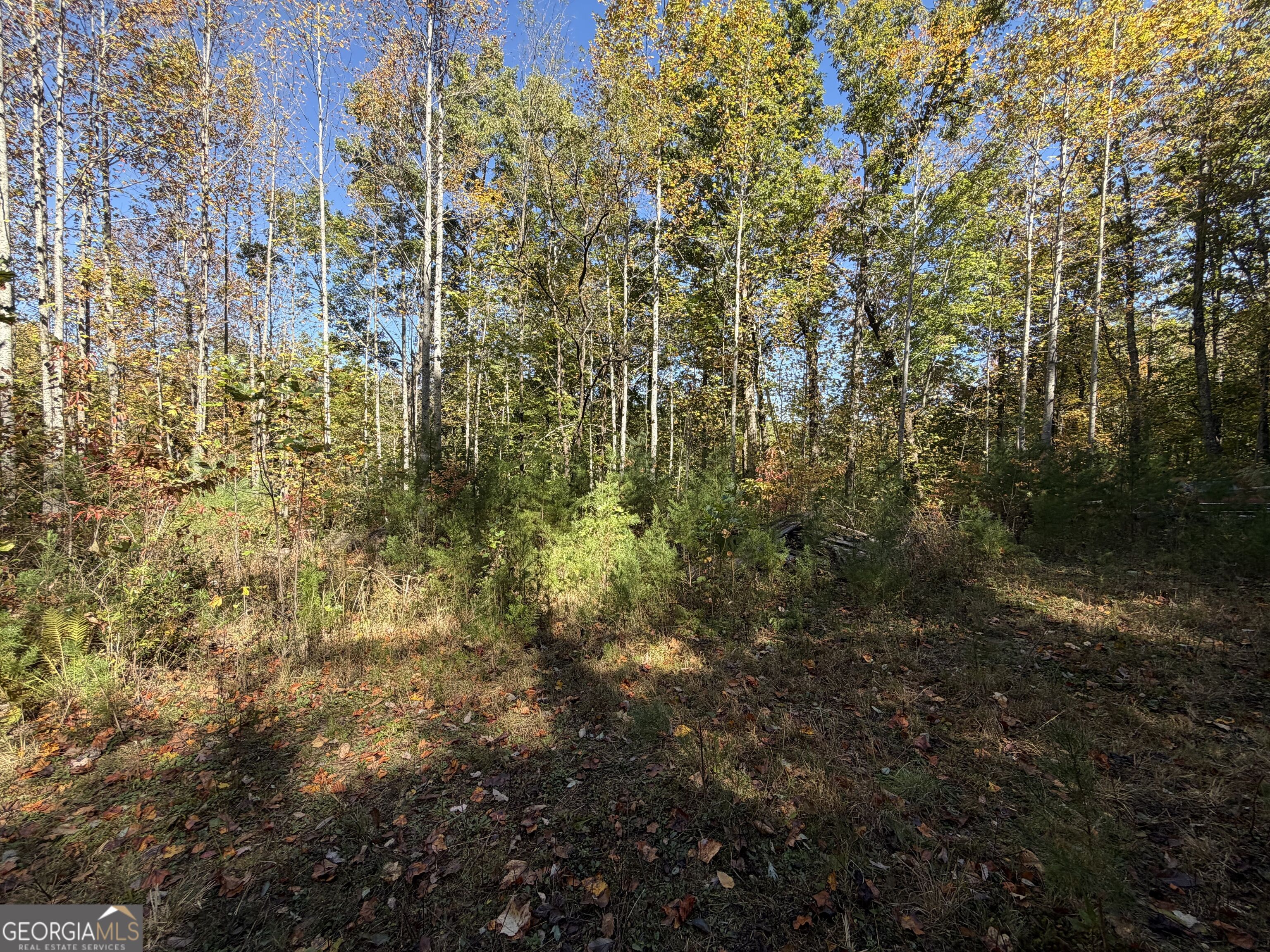 0 Benny Mtn Road Clayton GA 30525