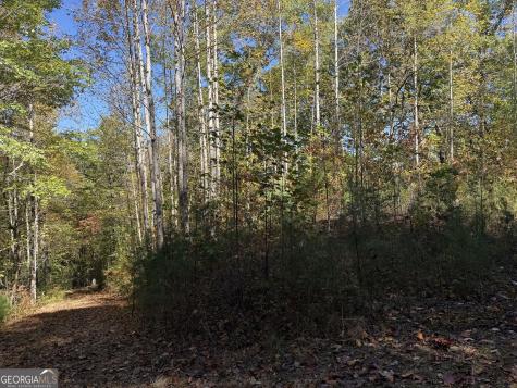 0 Benny Mtn Road Clayton GA 30525