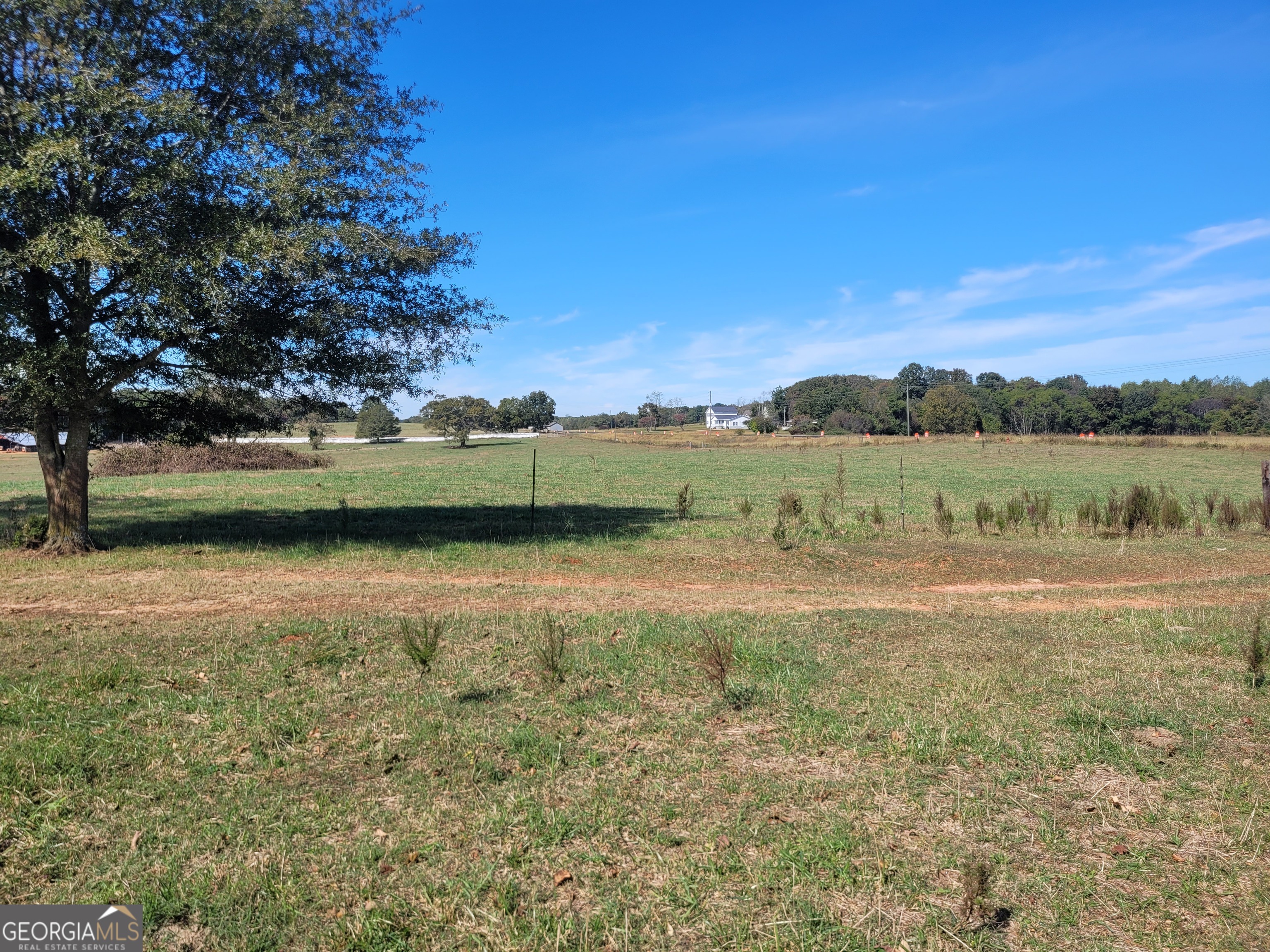 8117 Sandy Cross Road Carnesville GA 30521