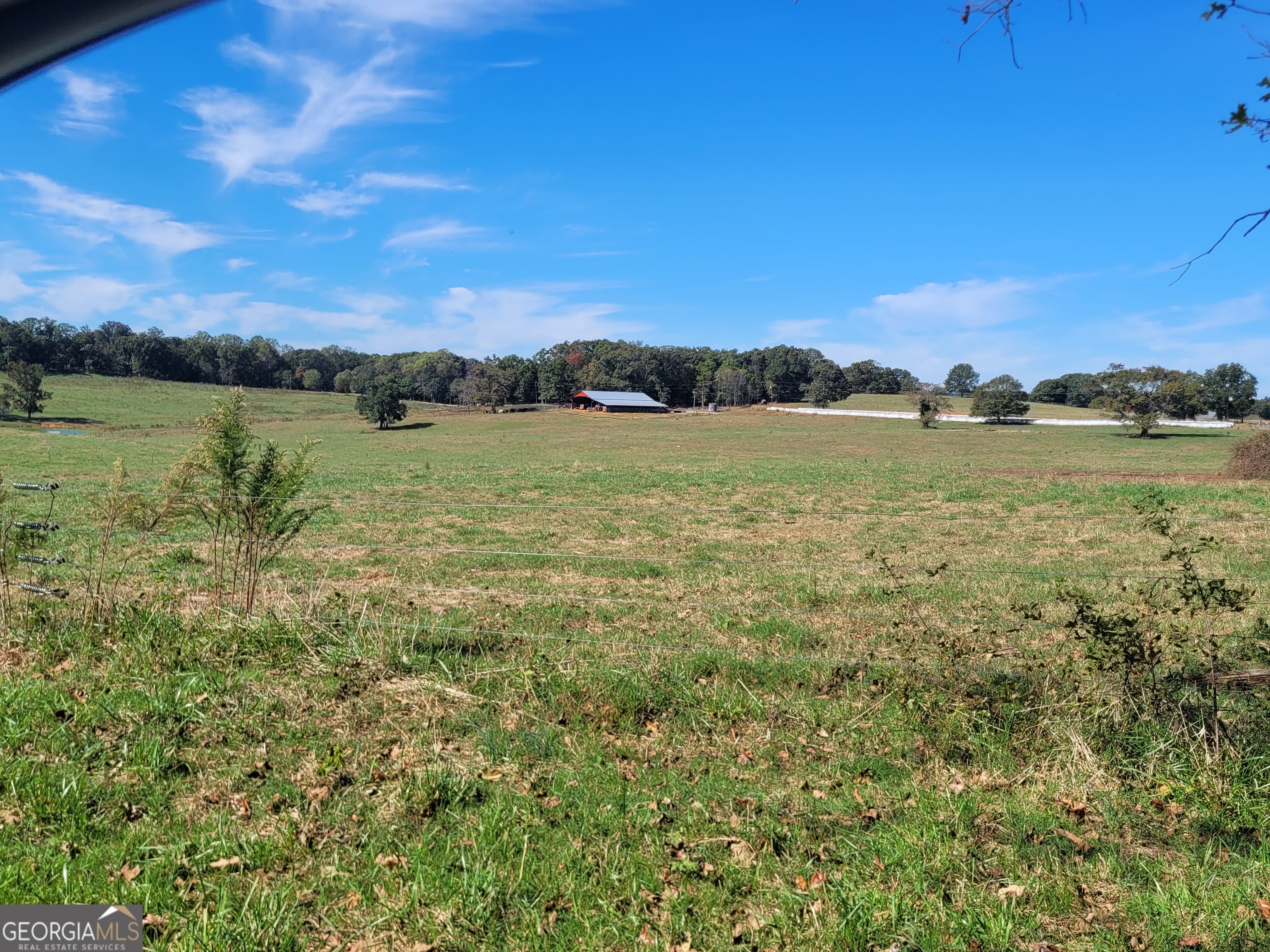 8117 Sandy Cross Road Carnesville GA 30521
