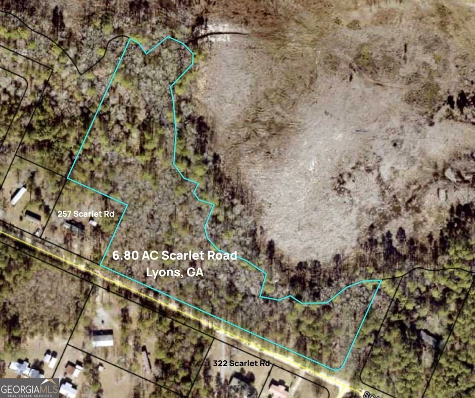 6.80 Ac Scarlet Road Lyons GA 30436