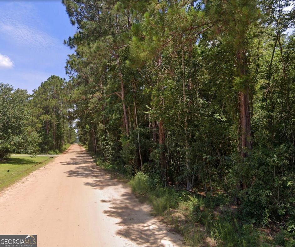 6.80 Ac Scarlet Road Lyons GA 30436