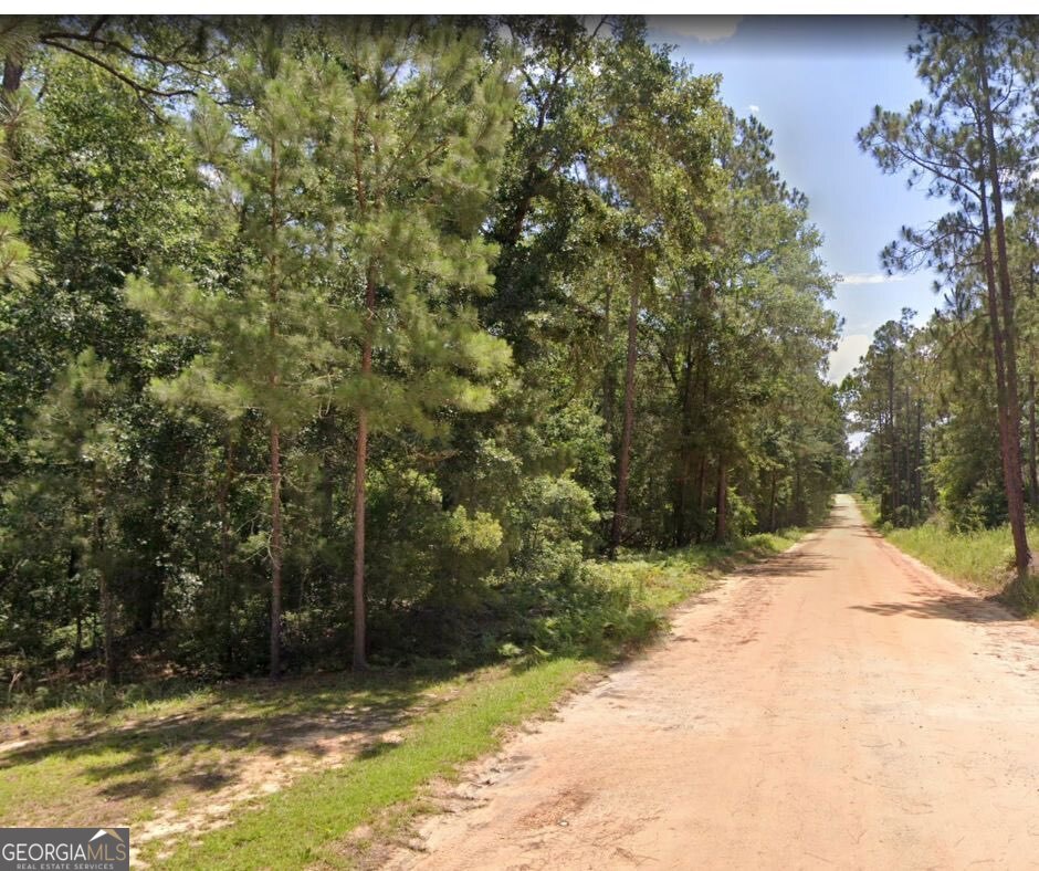 6.80 Ac Scarlet Road Lyons GA 30436