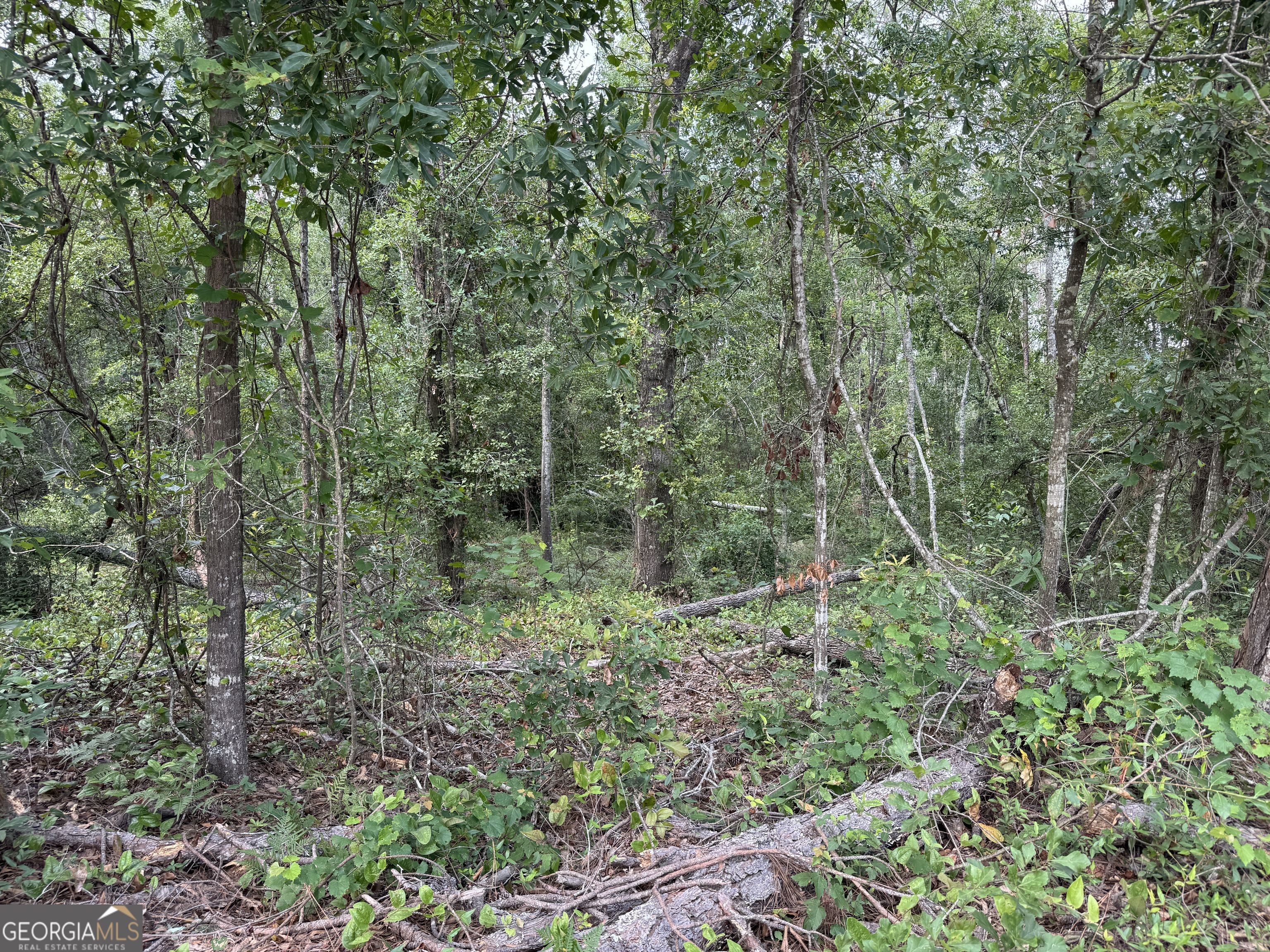 6.80 Ac Scarlet Road Lyons GA 30436