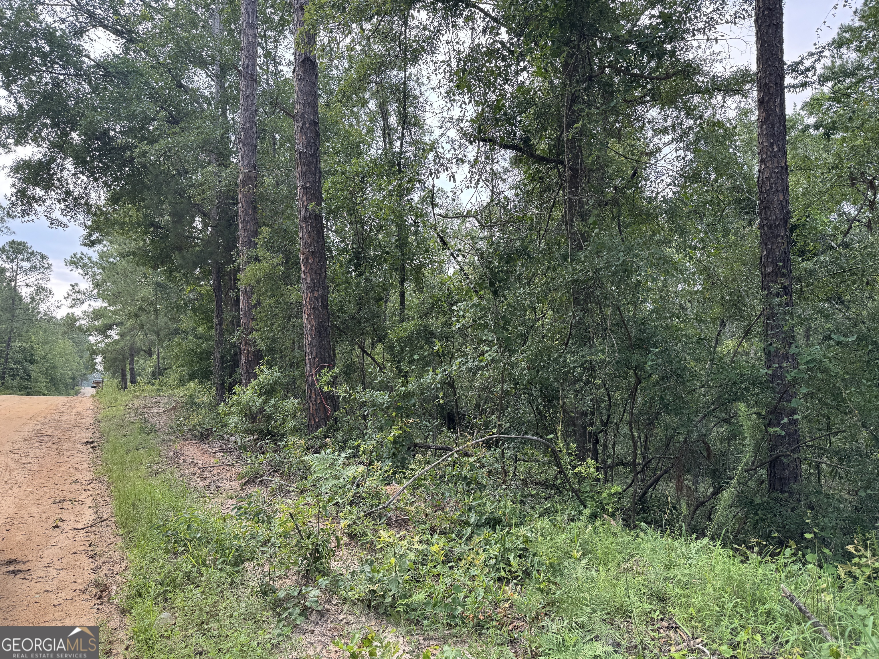 6.80 Ac Scarlet Road Lyons GA 30436