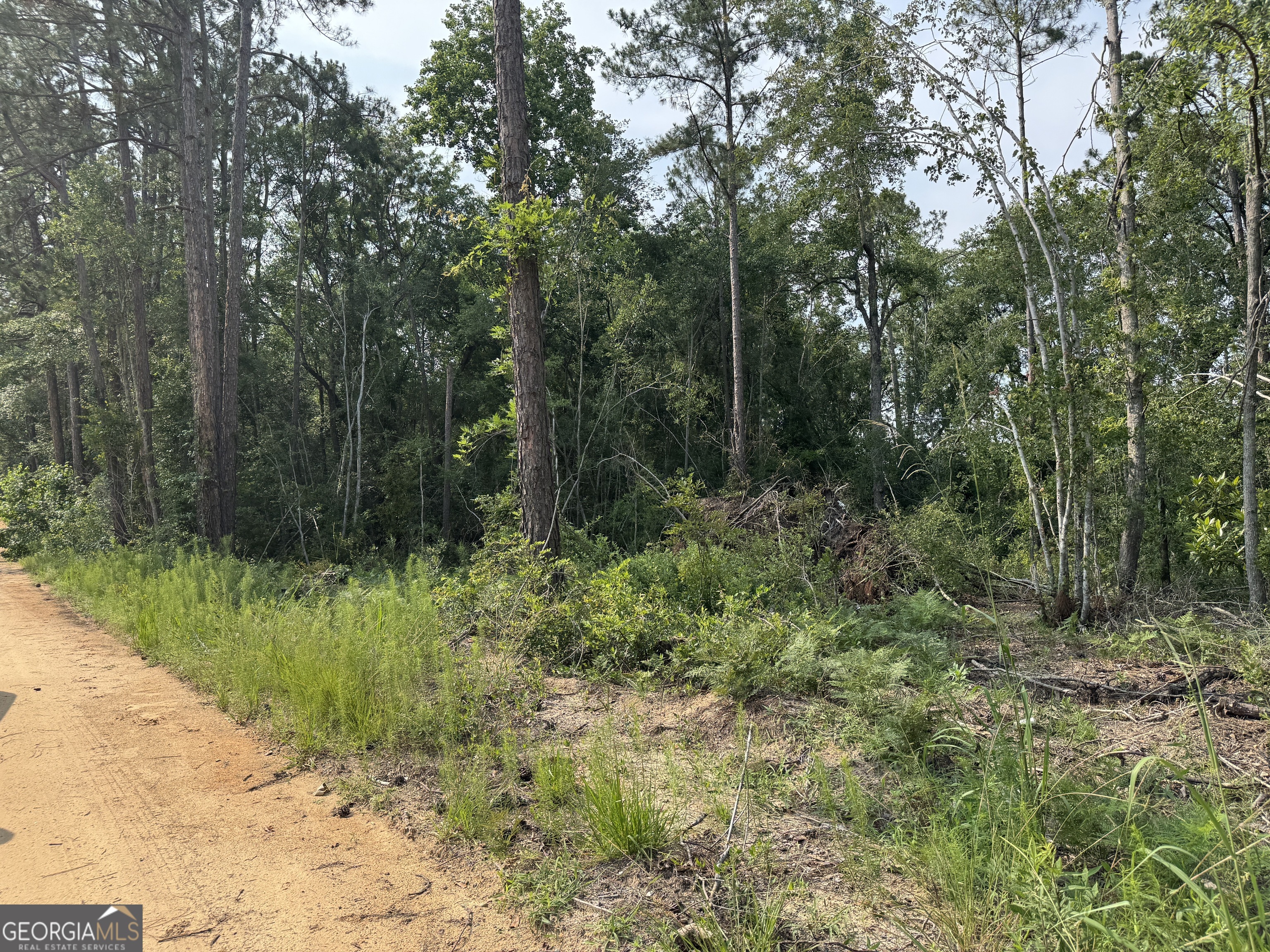 6.80 Ac Scarlet Road Lyons GA 30436
