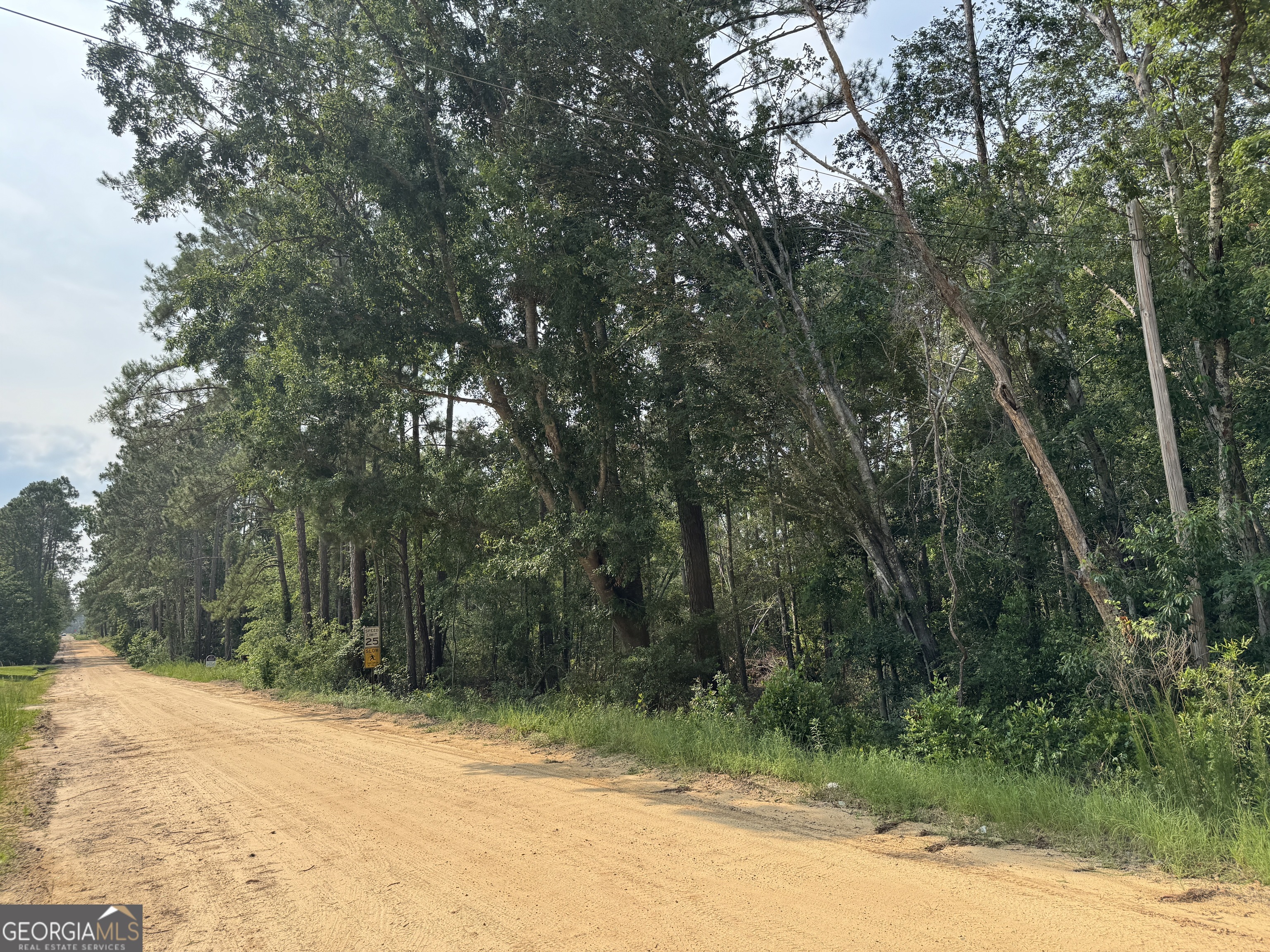 6.80 Ac Scarlet Road Lyons GA 30436