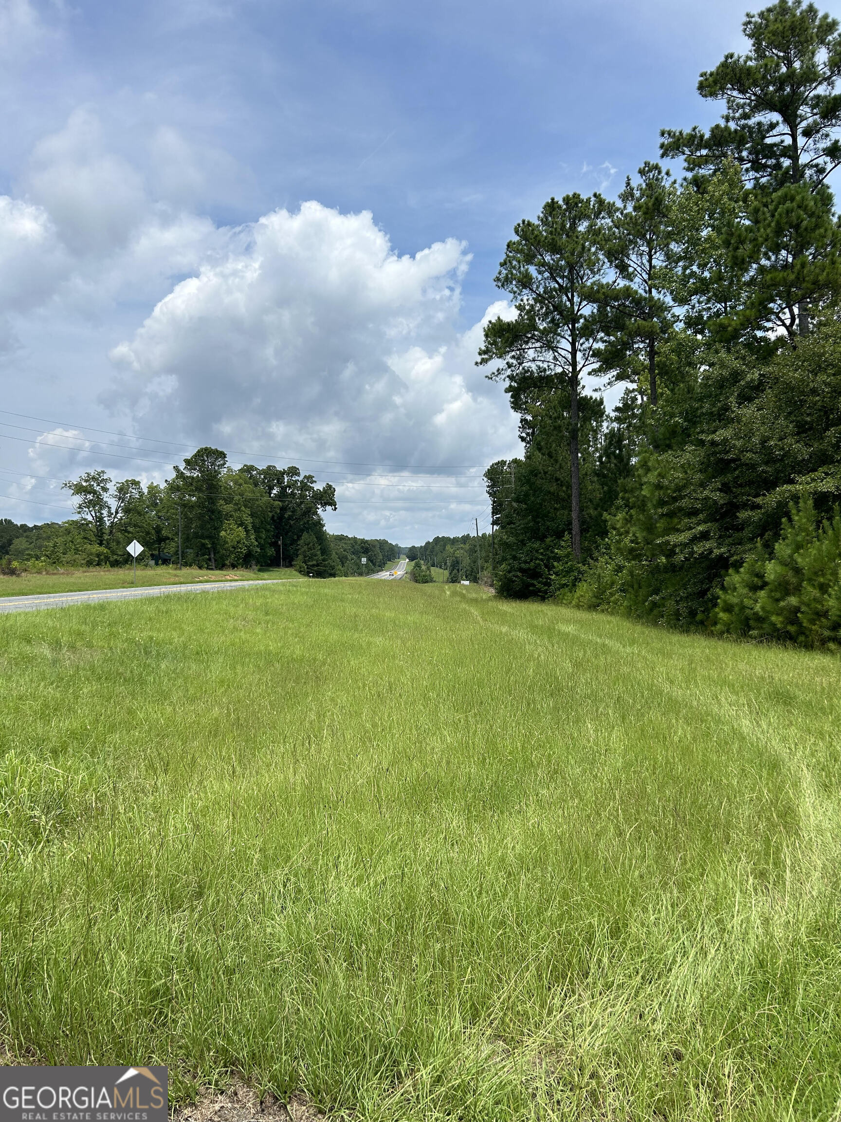 0 Highway 85 Woodbury GA 30293