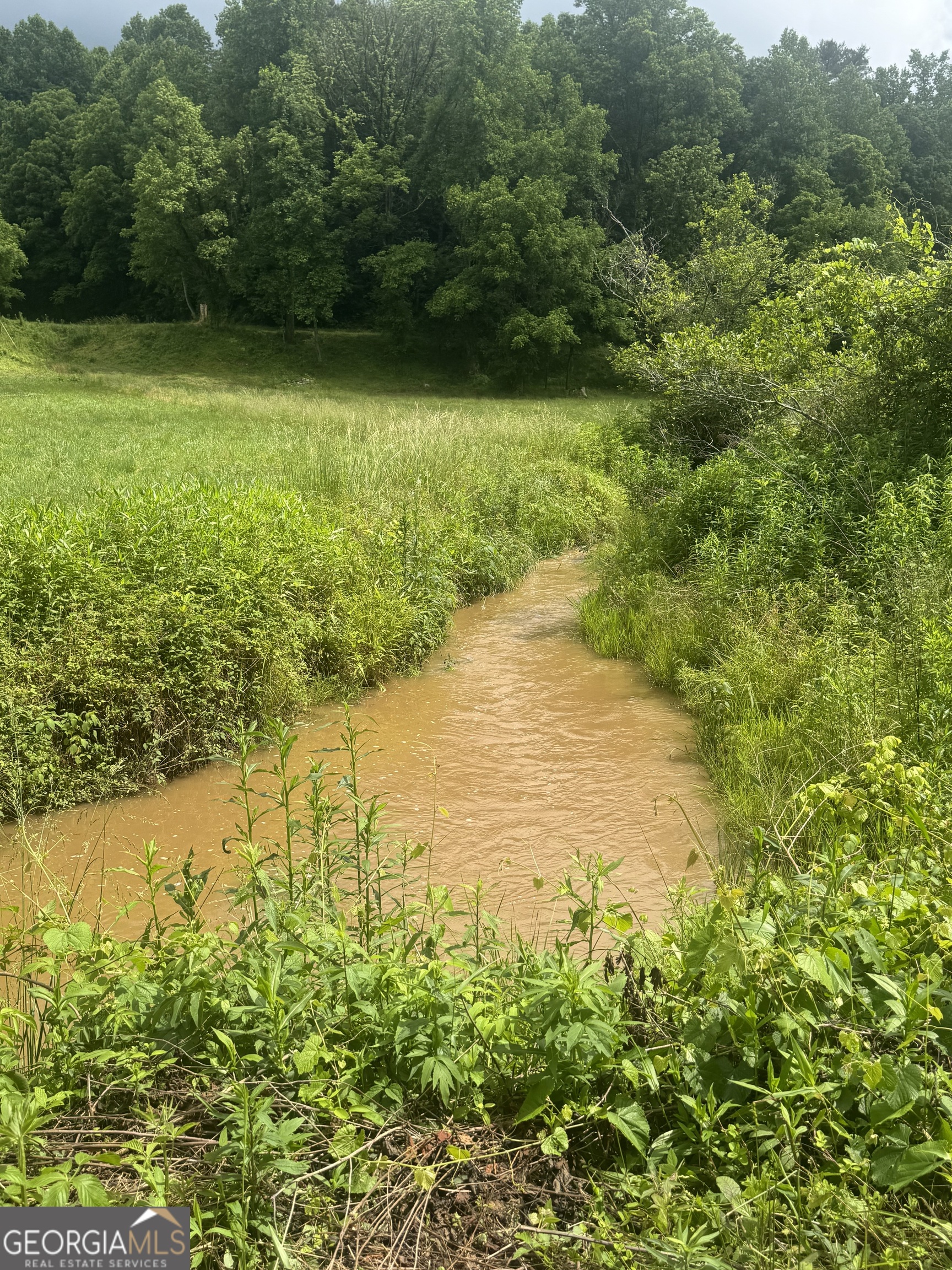 0 Tails Creek Road Ellijay GA 30540