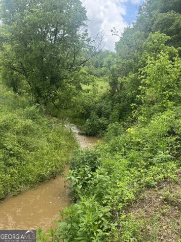 0 Tails Creek Road Ellijay GA 30540