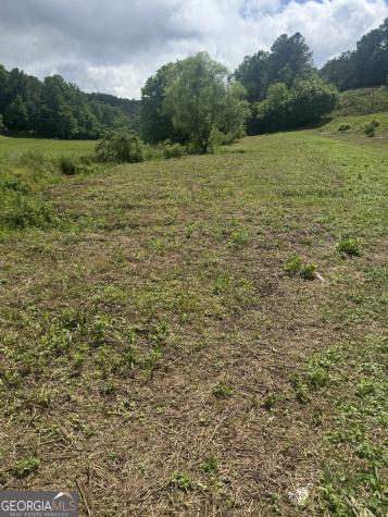 0 Tails Creek Road Ellijay GA 30540