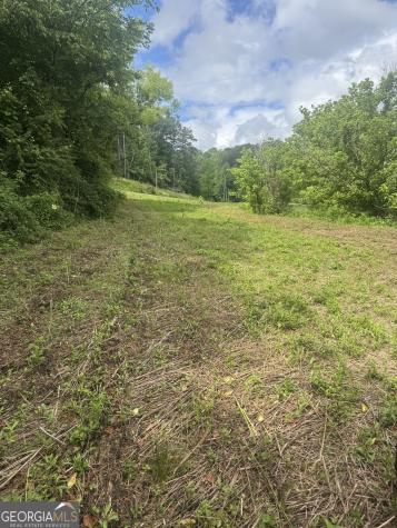 0 Tails Creek Road Ellijay GA 30540