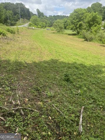 0 Tails Creek Road Ellijay GA 30540