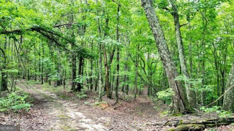 Trt B Cascade Drive Jasper GA 30143