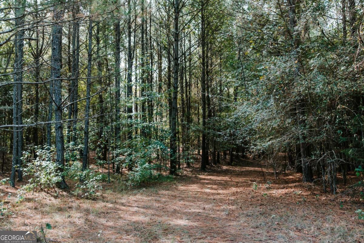 01 Elberton Road Lexington GA 30648