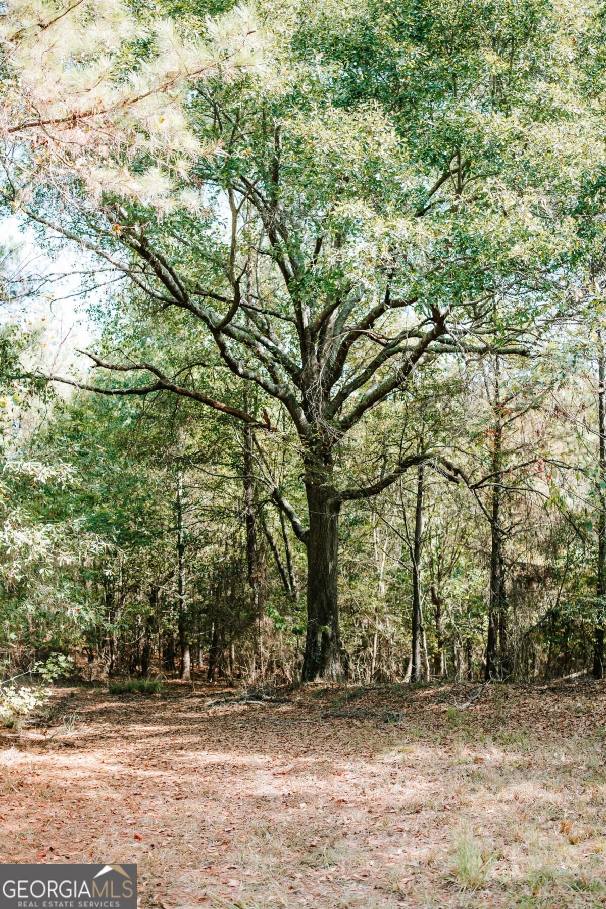 01 Elberton Road Lexington GA 30648