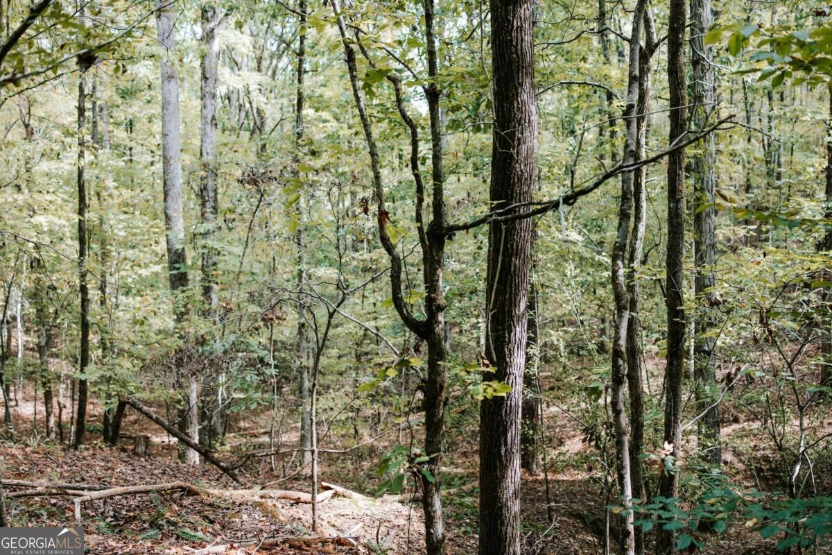 01 Elberton Road Lexington GA 30648