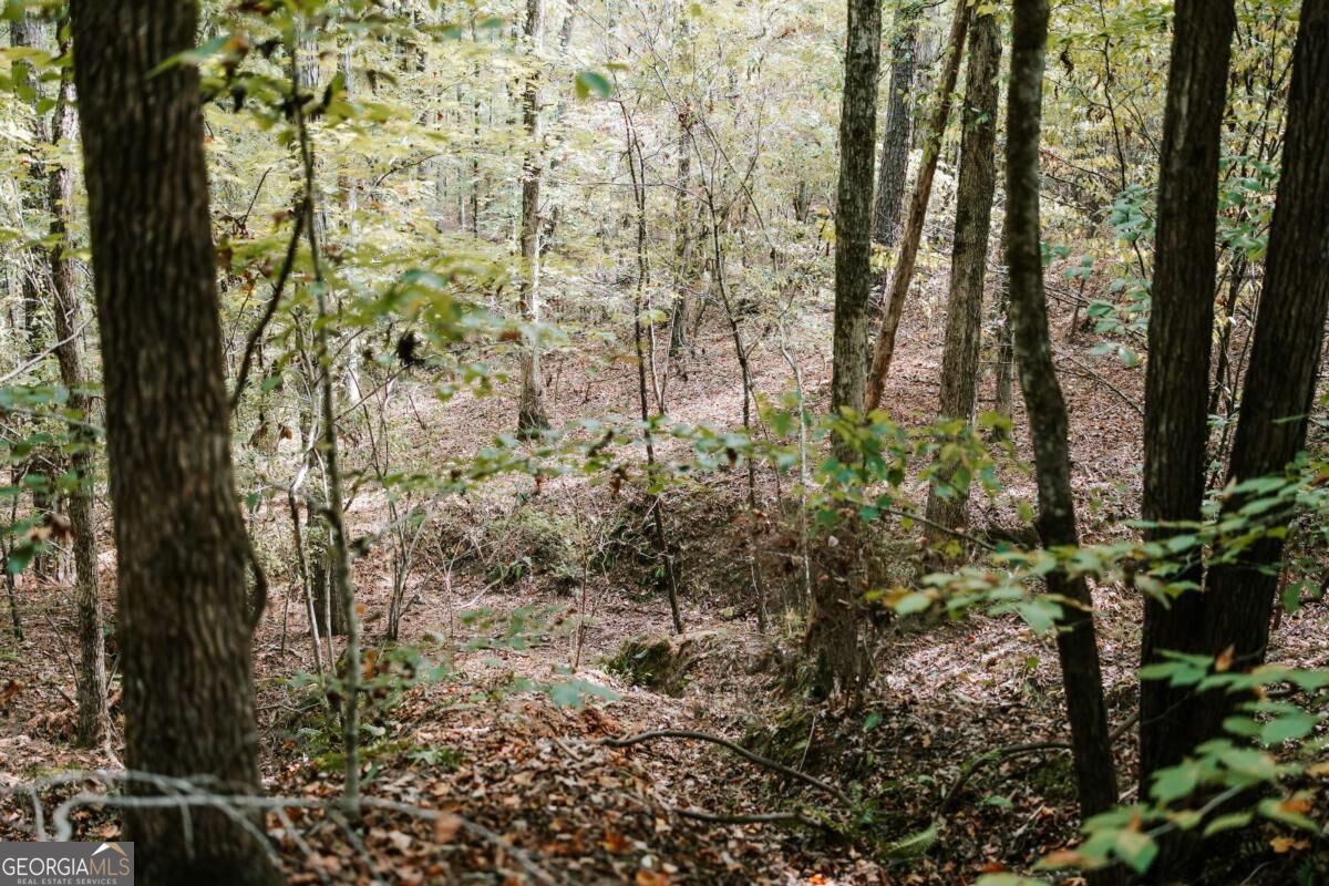 01 Elberton Road Lexington GA 30648