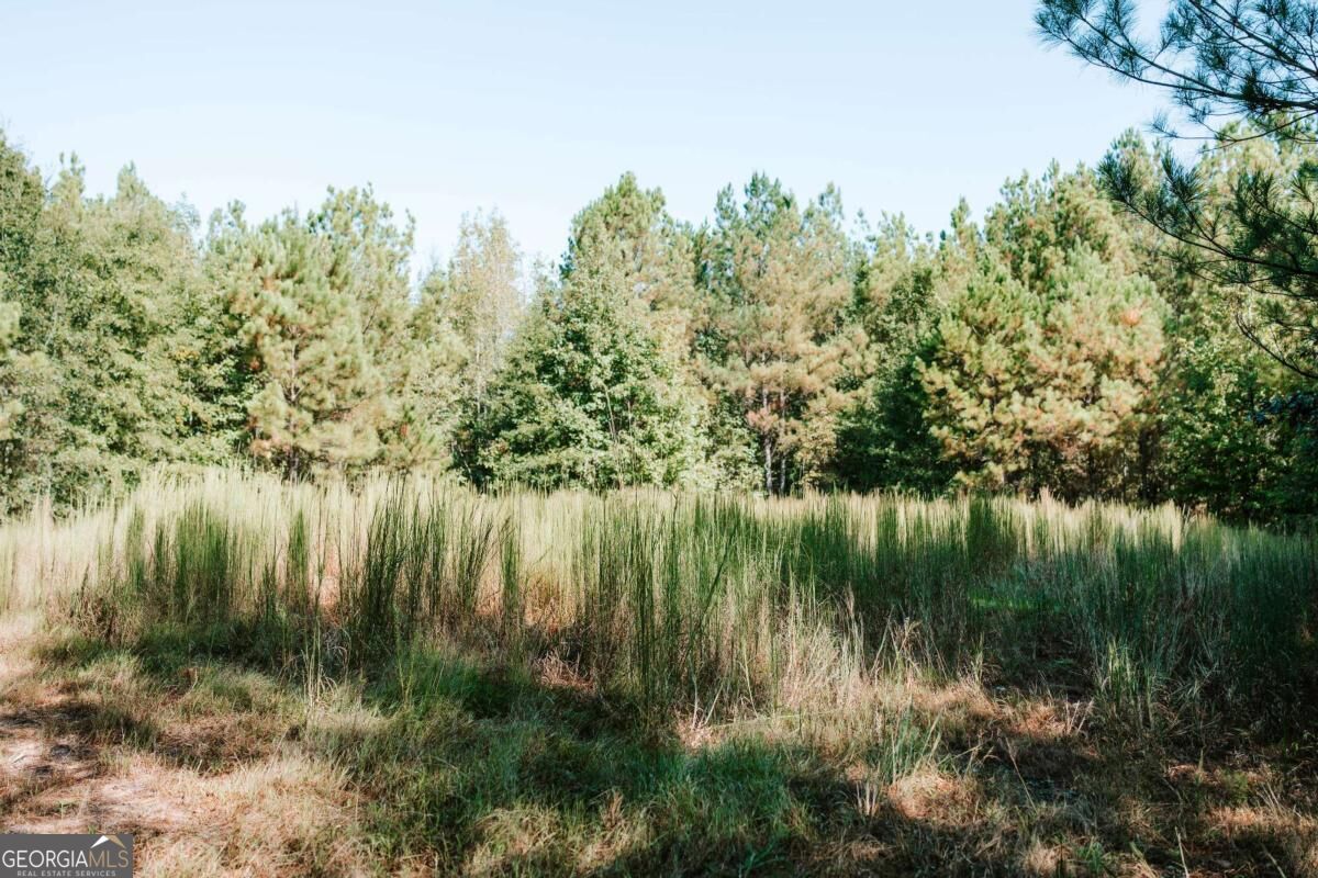 01 Elberton Road Lexington GA 30648