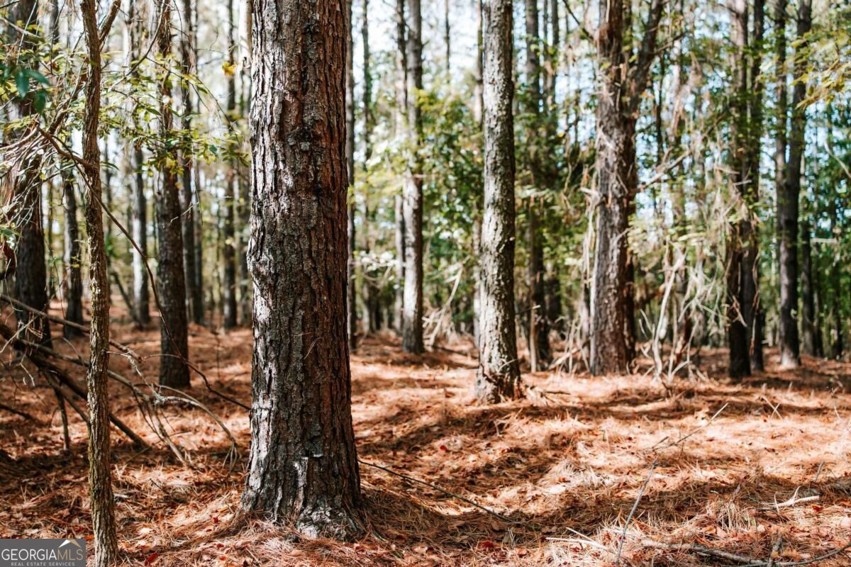 01 Elberton Road Lexington GA 30648