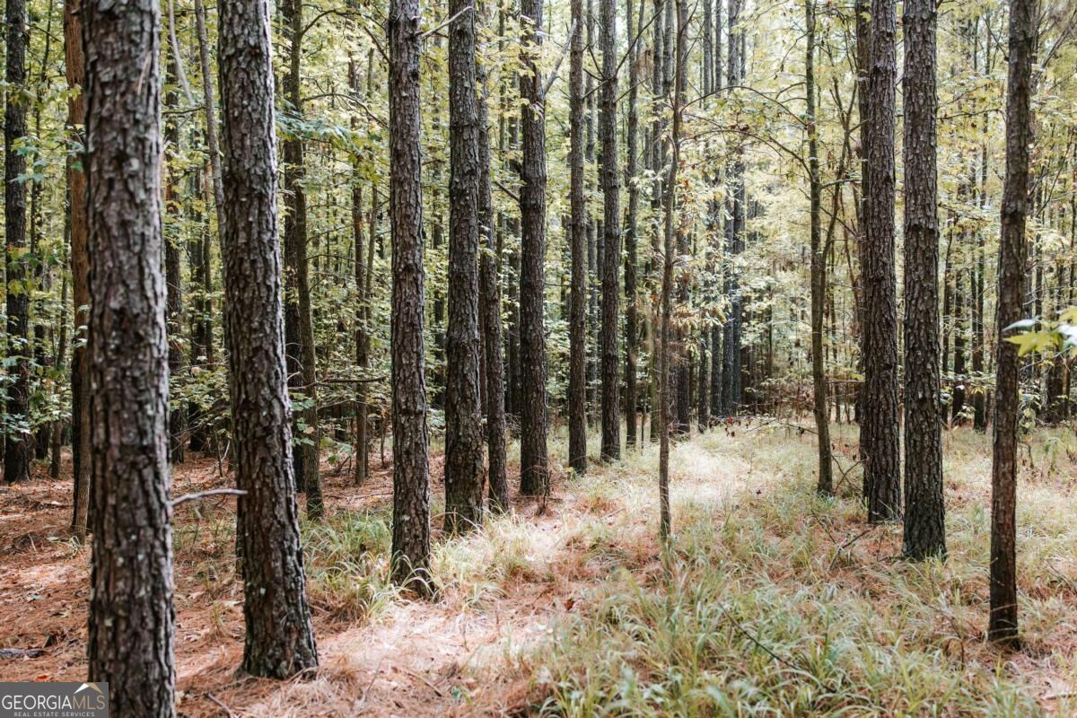 01 Elberton Road Lexington GA 30648