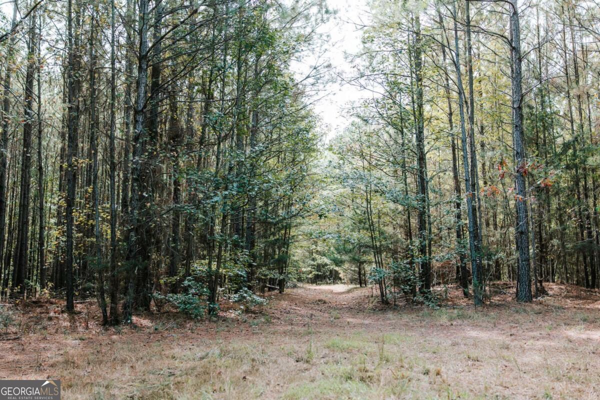 01 Elberton Road Lexington GA 30648