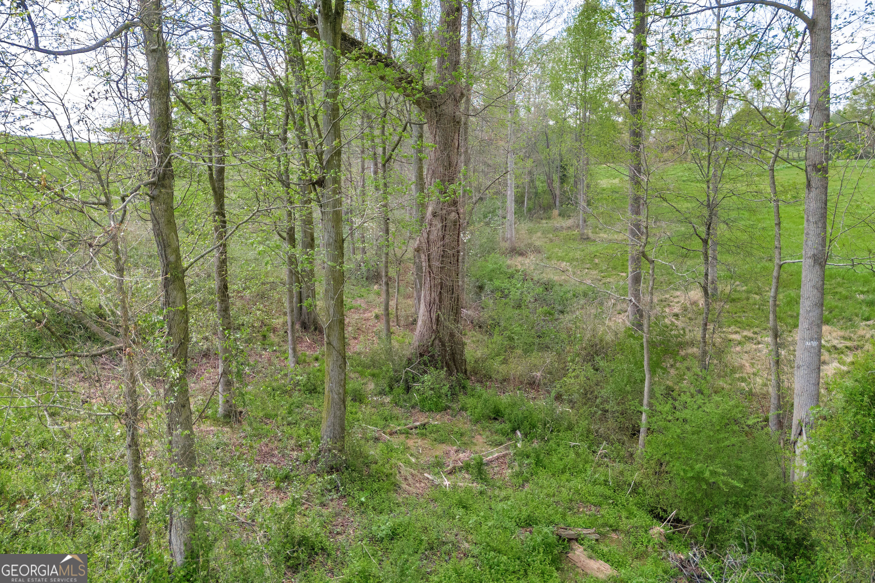 Tract 1 Kristy Street Bowersville GA 30516