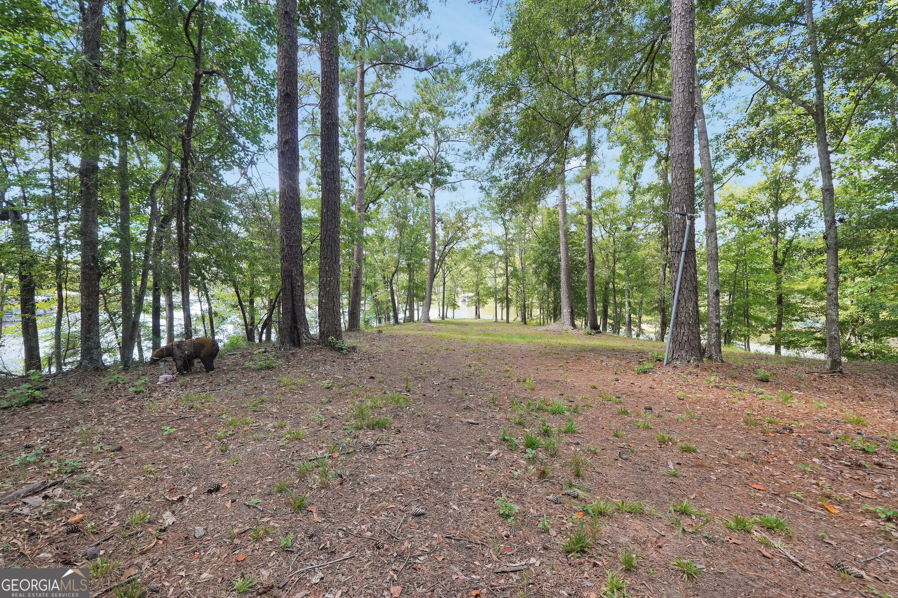 0 Scuffleboro Road Eatonton GA 31024