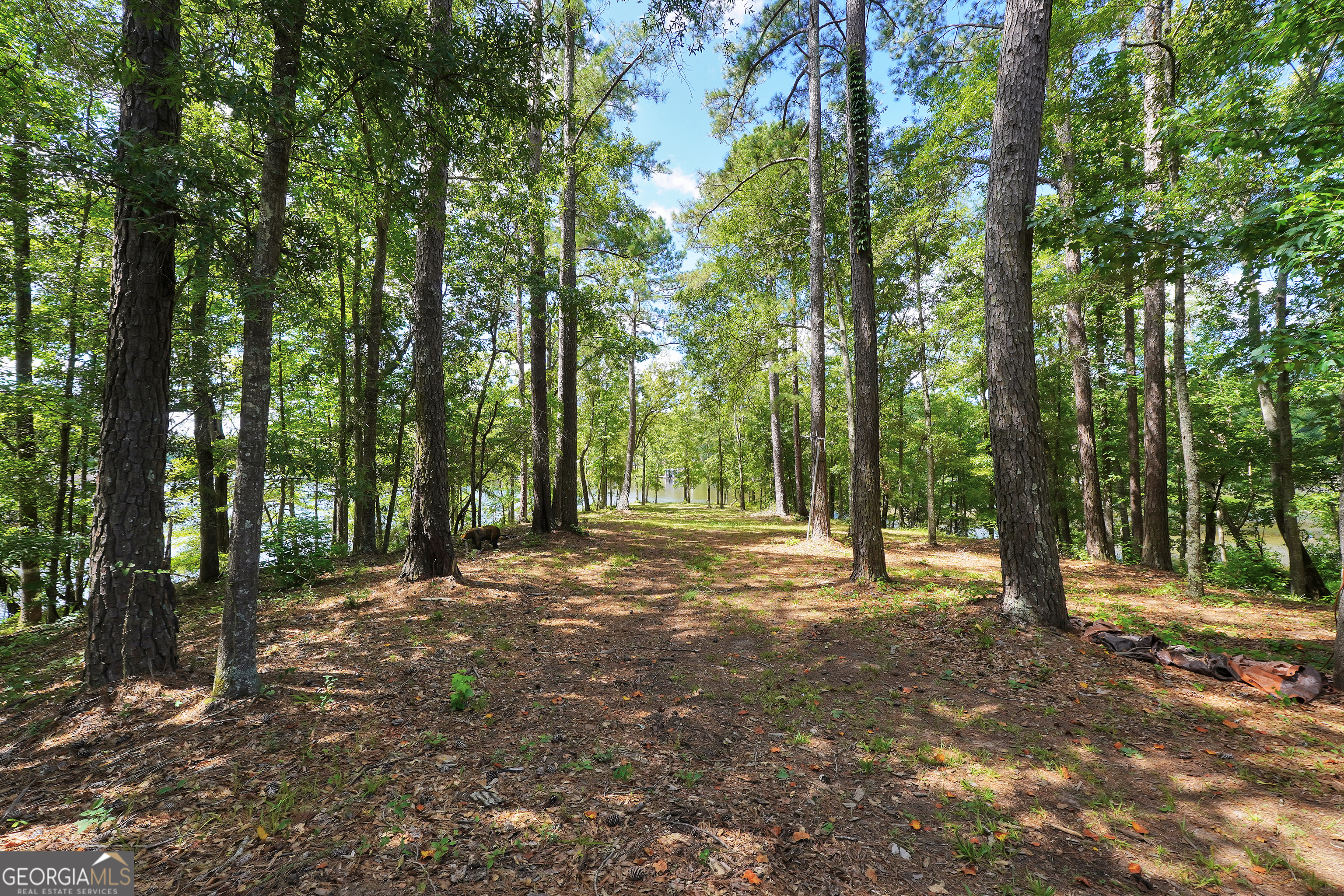 0 Scuffleboro Road Eatonton GA 31024