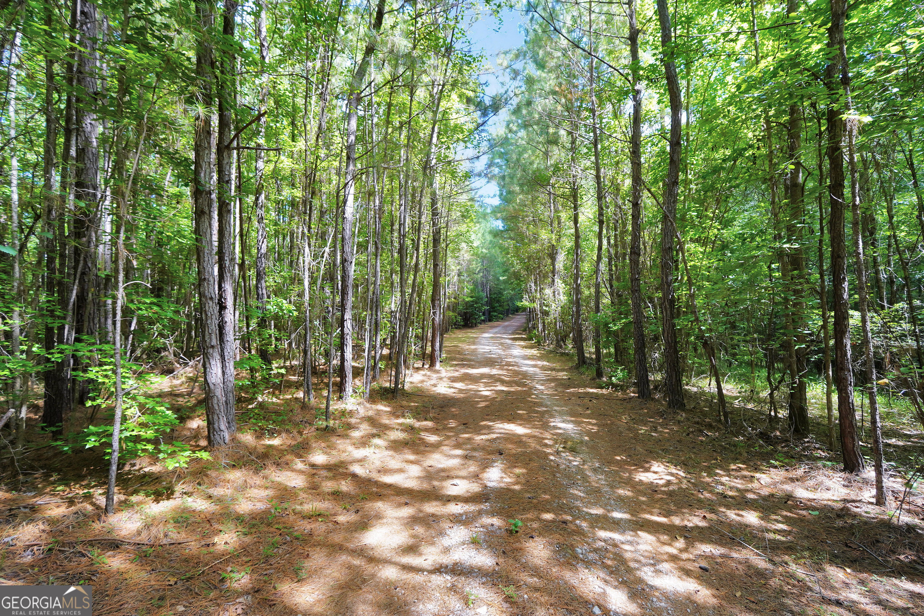 0 Scuffleboro Road Eatonton GA 31024