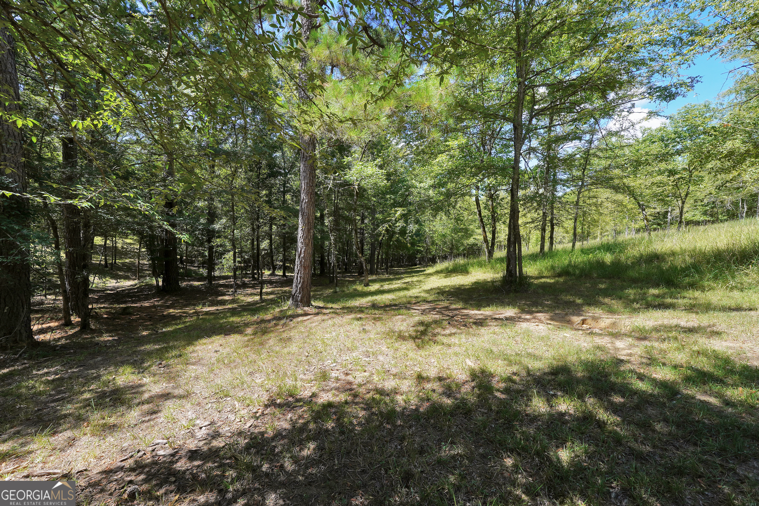 0 Scuffleboro Road Eatonton GA 31024