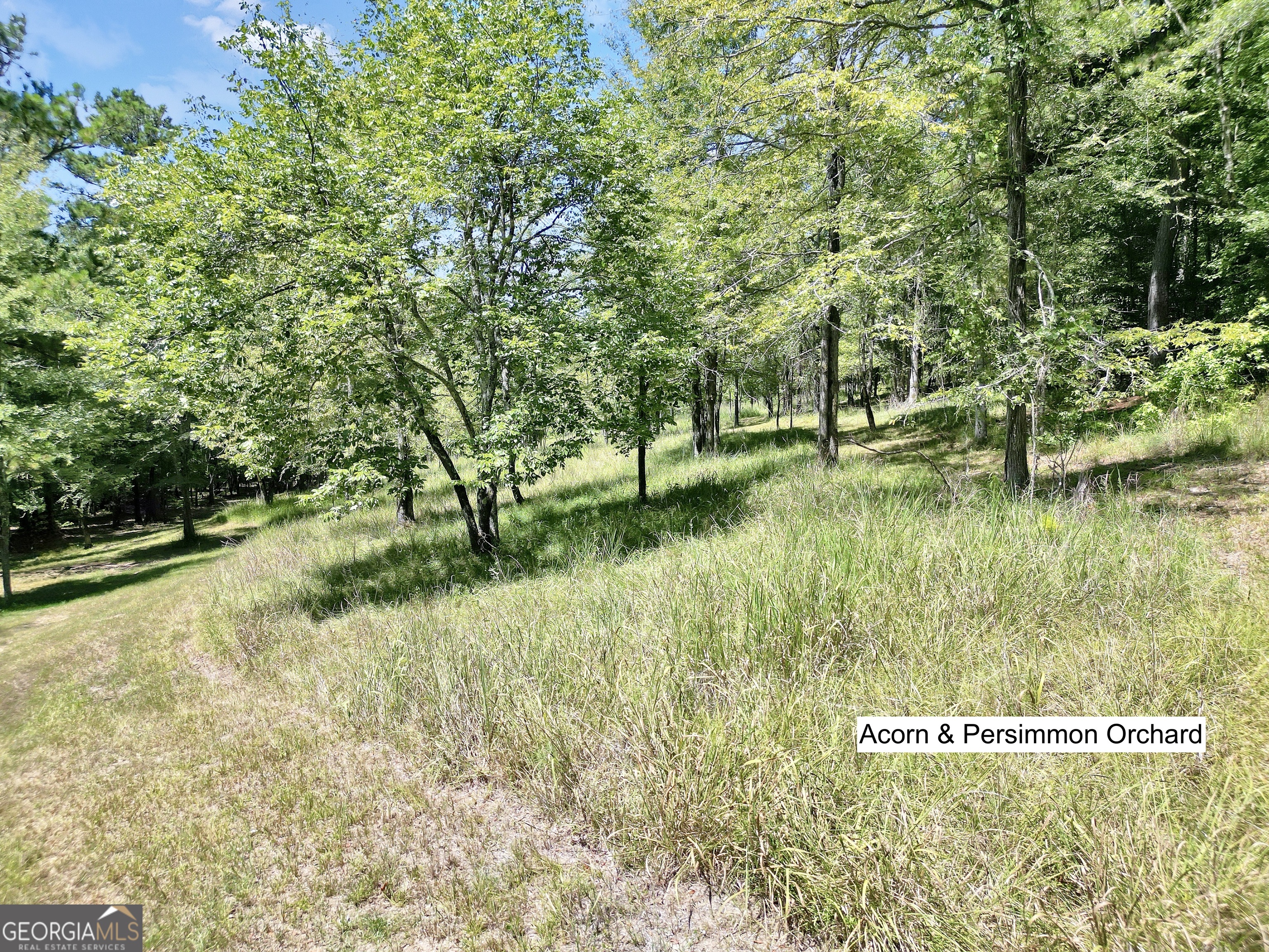 0 Scuffleboro Road Eatonton GA 31024